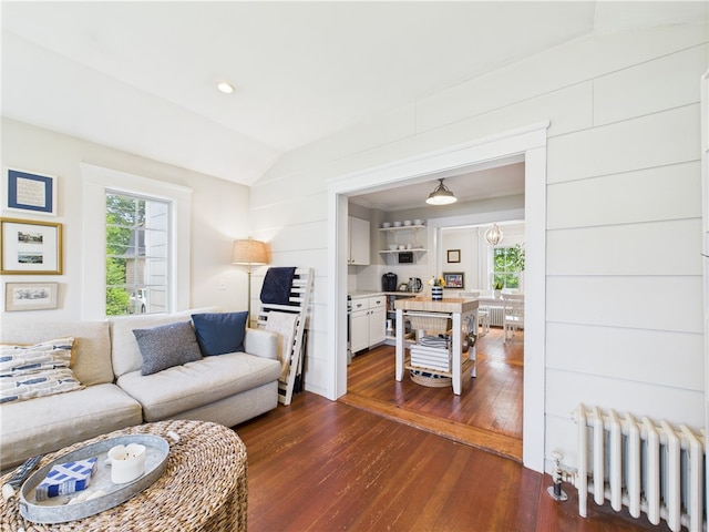 39 Union St, East Greenwich, RI 02818 - living area featuring radiator heating unit, lofted ceiling, dark wood-style flooring, and plenty of natural light