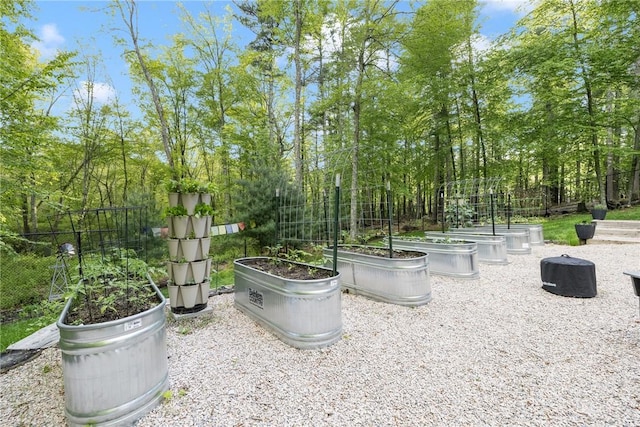 31 Corey Trl, Richmond, RI 02898 - view of yard with a garden