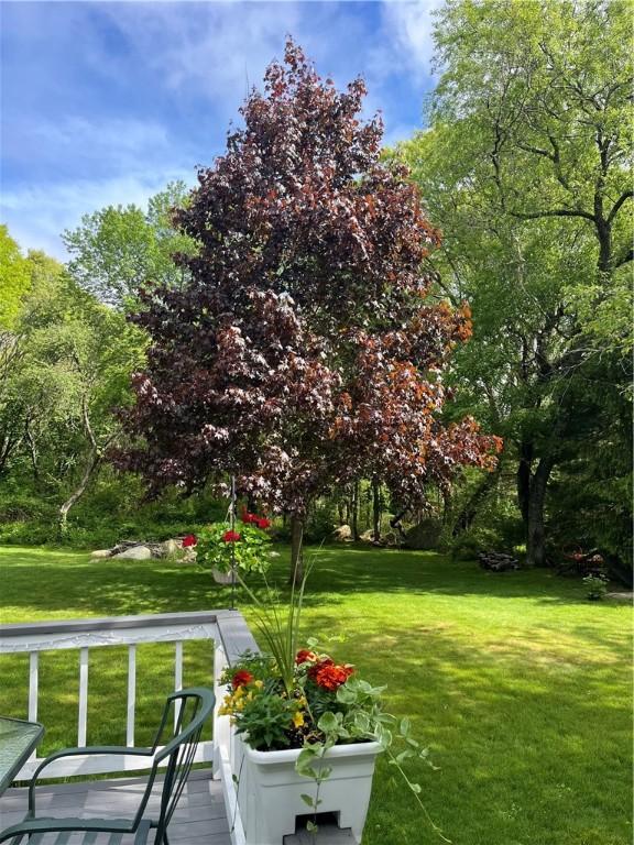 539 Allen Ave, South Kingstown, RI 02879 - view of community with a lawn