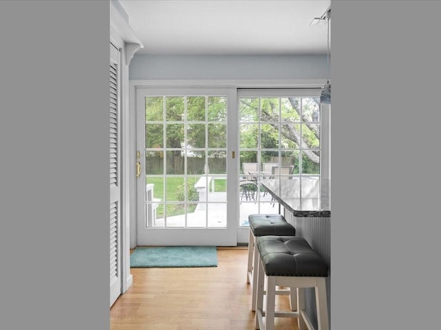 doorway to outside featuring healthy amount of natural light and light wood-type flooring