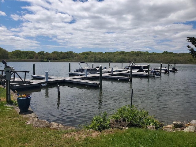 dock area featuring a water view