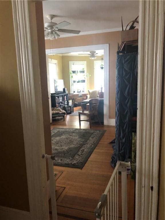 149 Peace St, Providence, RI 05290 - hall with ornamental molding, baseboards, and wood finished floors