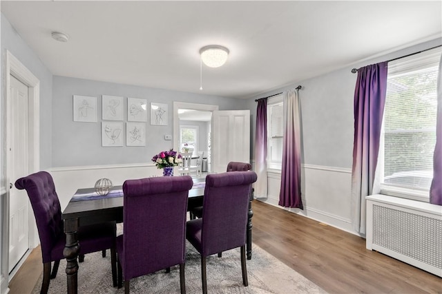 dining space featuring radiator, plenty of natural light, and wood finished floors