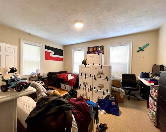 185 Williams St, Providence, RI 02906 - bedroom with an office area, a textured ceiling, and carpet
