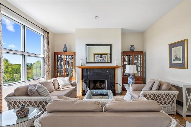 15 Hammersmith Rd Unit 19, Newport, RI 02840 - living area featuring healthy amount of natural light, wood finished floors, a fireplace, and baseboards