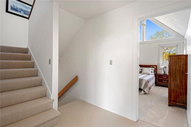 15 Hammersmith Rd Unit 19, Newport, RI 02840 - staircase with carpet and baseboards