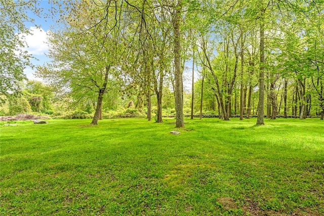40 Wood Ave, Narragansett, RI 02882 - view of green lawn