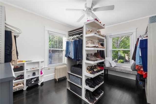 224 Raleigh Ave, Pawtucket, RI 02860 - spacious closet with radiator, hardwood / wood-style flooring, and ceiling fan