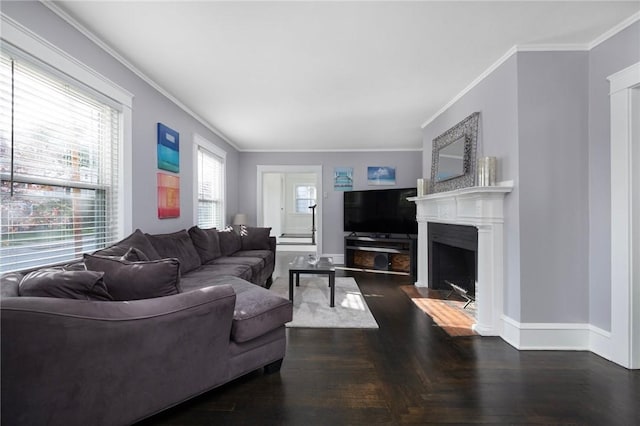 224 Raleigh Ave, Pawtucket, RI 02860 - living room featuring ornamental molding, baseboards, a fireplace with flush hearth, and dark wood finished floors