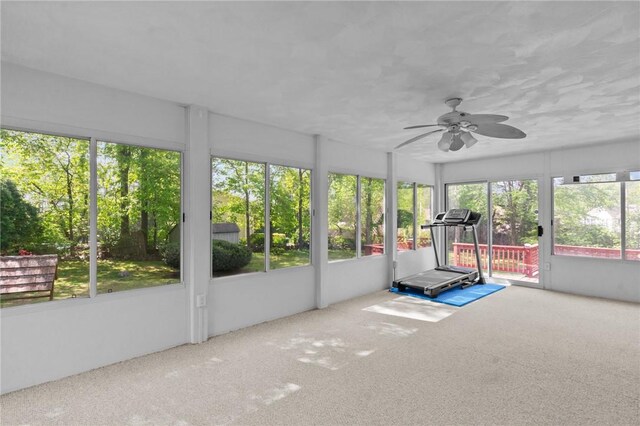 5 Chaloner Ct, Cranston, RI 02921 - photo 21
