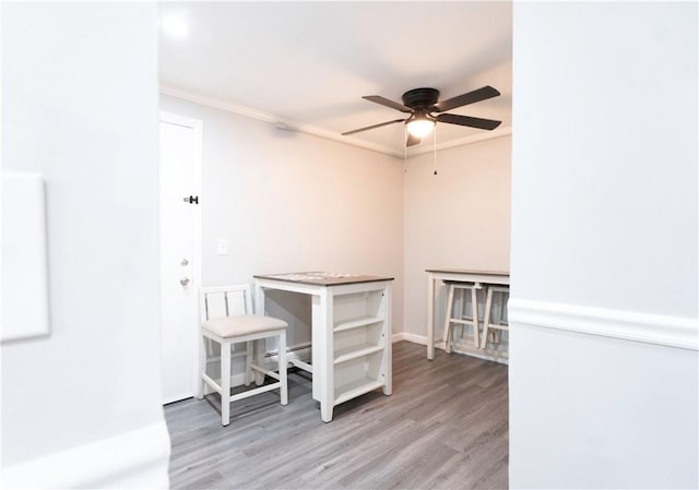 76 Park St Unit C1, Pawtucket, RI 02860 - unfurnished room with wood finished floors, ceiling fan, crown molding, and a baseboard heating unit