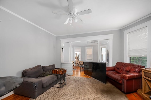 living room with crown molding, wood finished floors, healthy amount of natural light, and ceiling fan