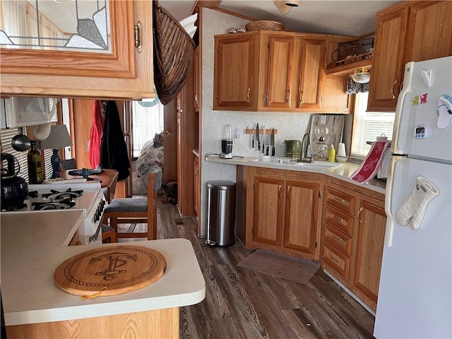 118 Dunns Corner Rd, Westerly, RI 02891 - kitchen featuring white appliances, a sink, dark wood finished floors, light countertops, and brown cabinets