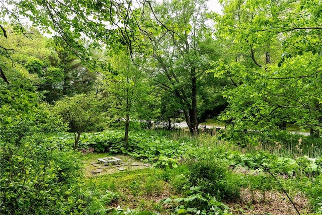 40 Haverhill Ave, North Kingstown, RI 02852 - view of wooded area