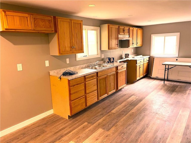 kitchen featuring a sink, under cabinet range hood, light countertops, light wood-style floors, and baseboards