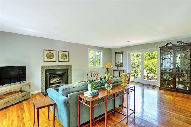 9 Misty River Ter, Narragansett, RI 02874 - living area with wood finished floors, a fireplace with flush hearth, and baseboards