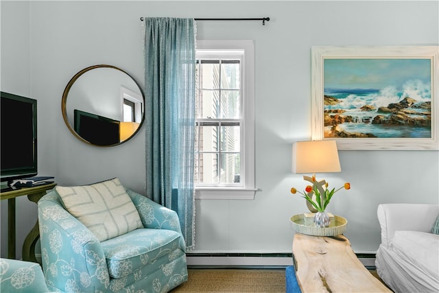 97 Narragansett Ave Unit C4, Newport, RI 02840 - living area featuring a baseboard radiator