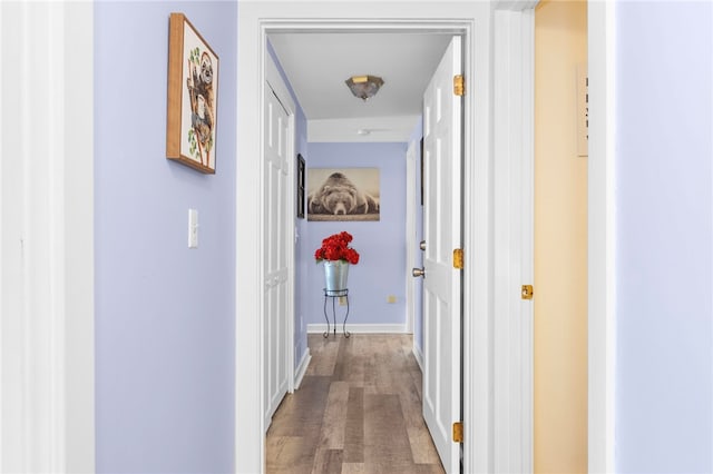 250 Shippee Plat Rd, Coventry, RI 02816 - hallway with wood finished floors and baseboards