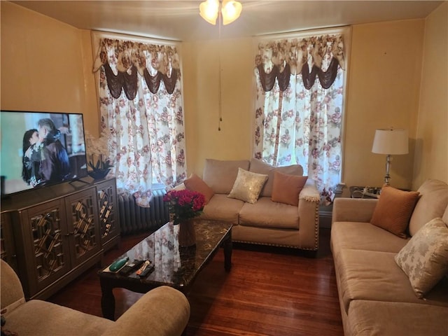 95 Congress Ave, Providence, RI 02907 - living room with wood finished floors and radiator