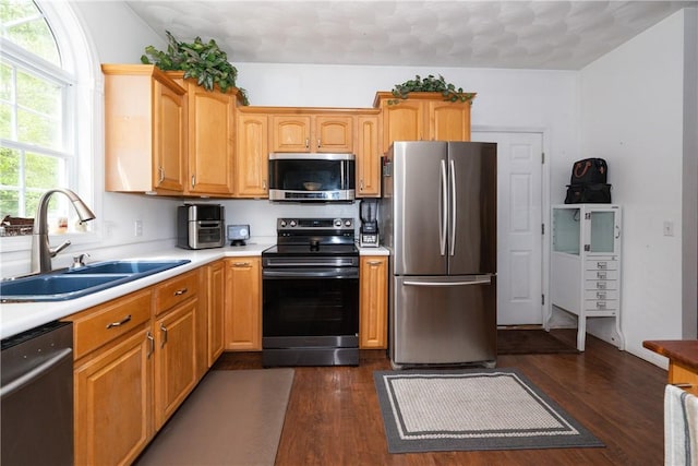 21 Fieldstone Dr, Coventry, RI 02816 - kitchen featuring stainless steel appliances, a sink, dark wood-style flooring, and light countertops