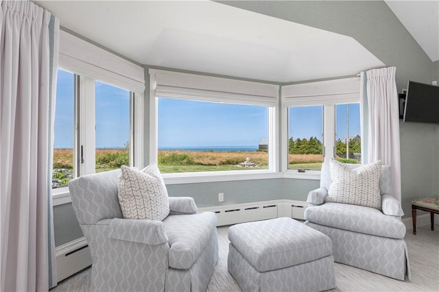 61 Baileys Ledge Rd, Little Compton, RI 02837 - living area with healthy amount of natural light, a baseboard heating unit, and lofted ceiling