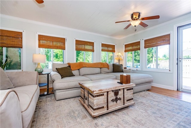 45 Nichols Rd, North Kingstown, RI 02852 - living room with a ceiling fan, healthy amount of natural light, ornamental molding, and light wood-type flooring