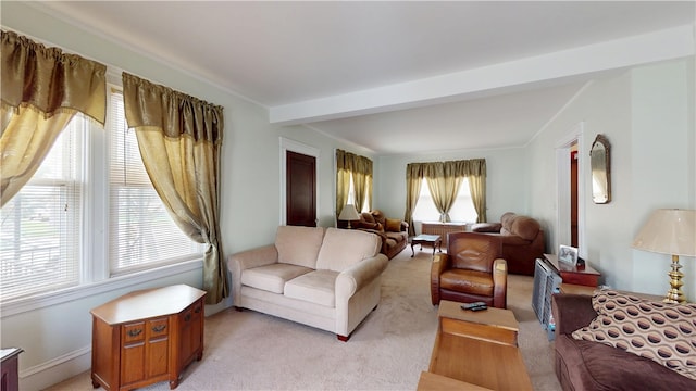 49 Nathaniel Ave, Pawtucket, RI 02860 - living area with light colored carpet and beamed ceiling
