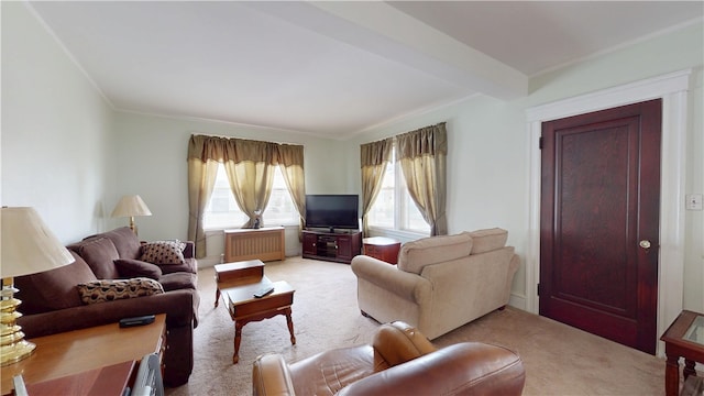 49 Nathaniel Ave, Pawtucket, RI 02860 - living area with light colored carpet, radiator, and crown molding