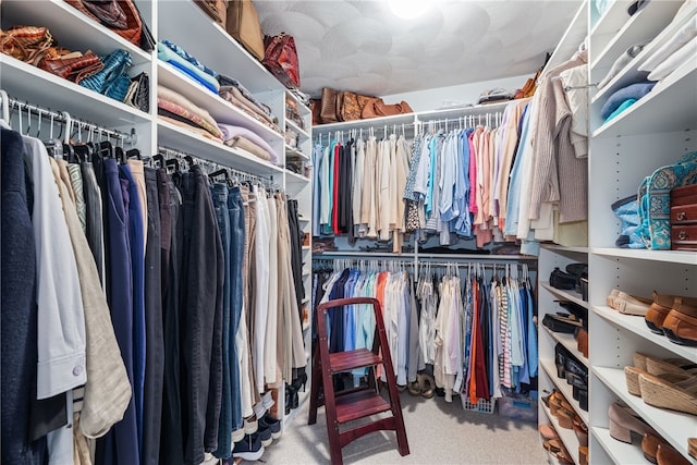 83 Preservation Way S, Kingstown, RI 02879 - walk in closet featuring carpet flooring