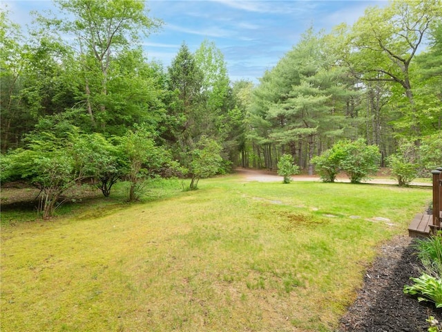 12 Rustic Acres Dr, Glocester, RI 02814 - view of grassy yard with a forest view