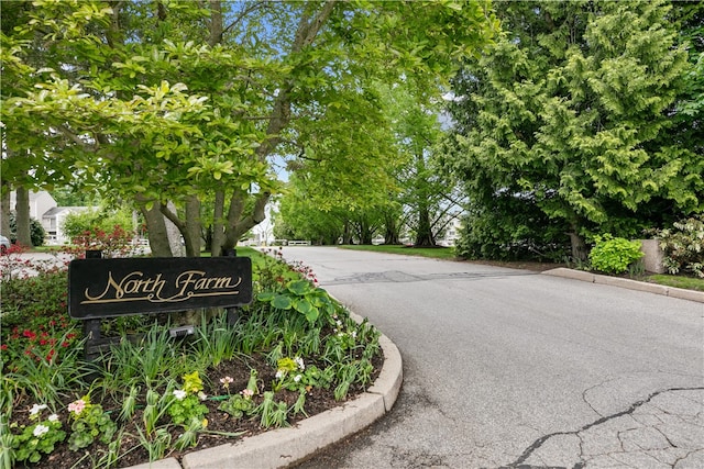 446 Paddock Ln, Bristol, RI 02809 - view of asphalt street