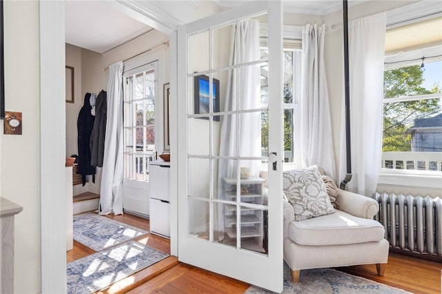 143 Ivy St, Providence, RI 02906 - doorway to outside with radiator, plenty of natural light, and wood finished floors