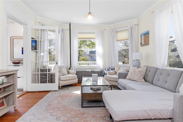 143 Ivy St, Providence, RI 02906 - living area with radiator, crown molding, and wood finished floors