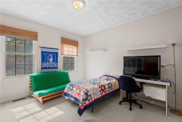 32 Trolley Ln, Westerly, RI 02891 - bedroom with carpet, baseboards, and a textured ceiling