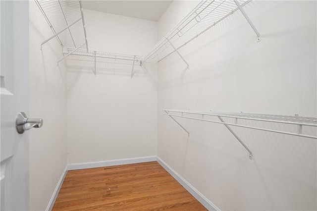 5 Enzo Dr, Coventry, RI 02816 - walk in closet featuring light wood-type flooring