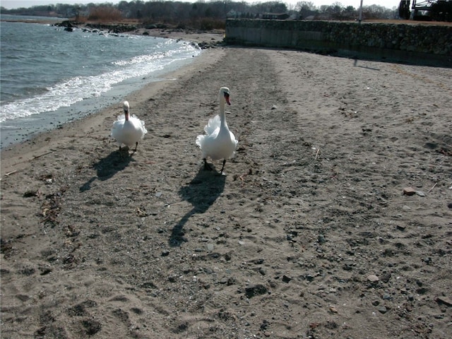 00 Grove Ave, Warwick, RI 02889
