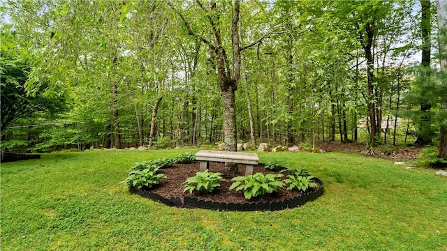 605 Gardner Rd, Exeter, RI 02822 - view of green lawn featuring a view of trees