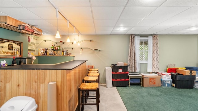 605 Gardner Rd, Exeter, RI 02822 - indoor dry bar with carpet