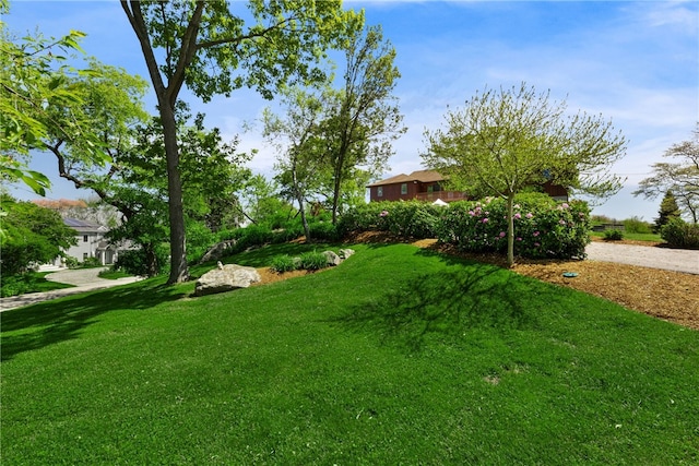 11 Cove Rd, Narragansett, RI 02882 - view of grassy yard