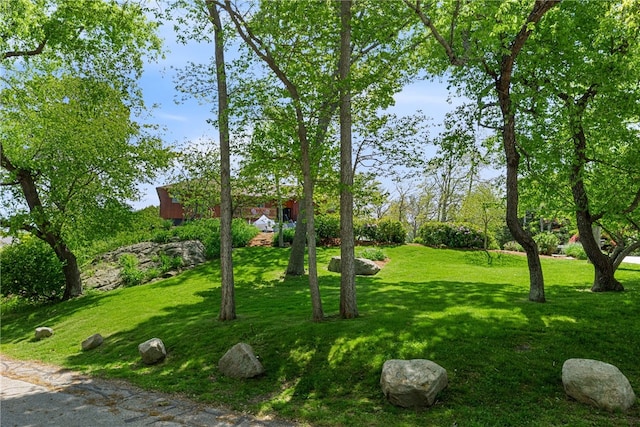 11 Cove Rd, Narragansett, RI 02882 - view of grassy yard