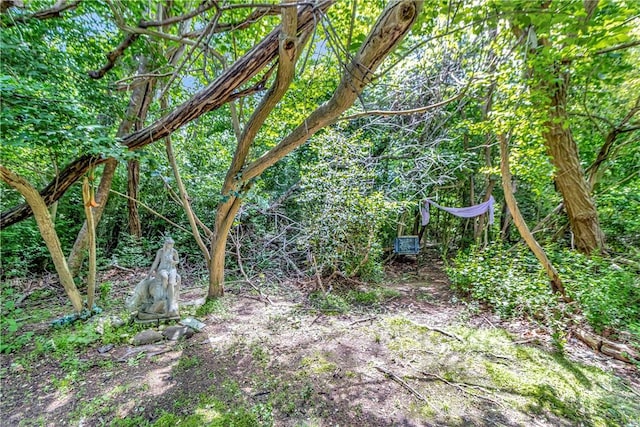 219 Nanaquaket Rd, Tiverton, RI 02878 - view of undeveloped land
