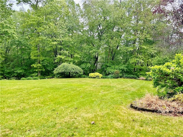 261 John Potter Rd, West Greenwich, RI 02817 - view of grassy yard