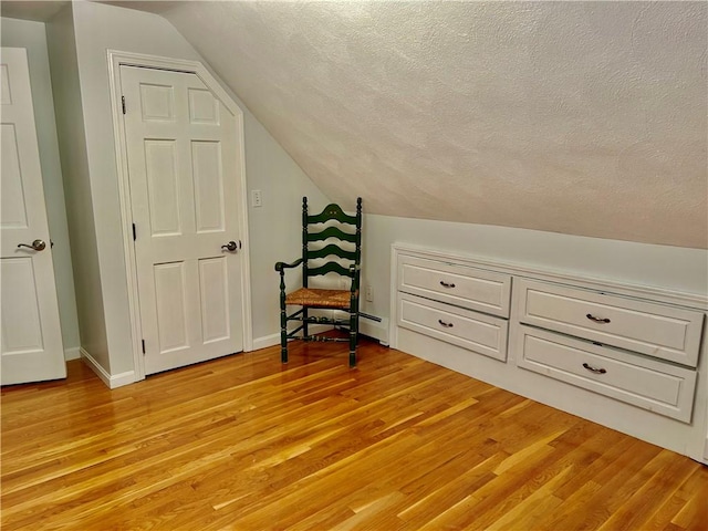 261 John Potter Rd, West Greenwich, RI 02817 - additional living space with light wood-style floors, vaulted ceiling, and a textured ceiling