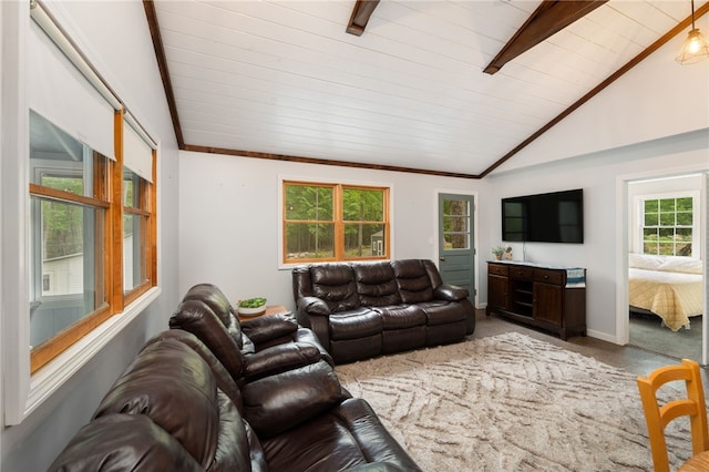 25 Melissa Ln, Burrillville, RI 02859 - living area with lofted ceiling, carpet floors, and baseboards