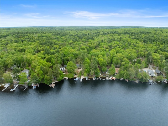 25 Melissa Ln, Burrillville, RI 02859 - aerial view of property's location with a forest and a large body of water