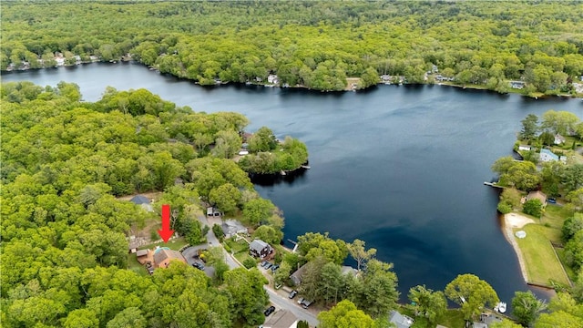 121 W Shore Dr, Exeter, RI 02822 - drone / aerial view of a forest and a nearby body of water