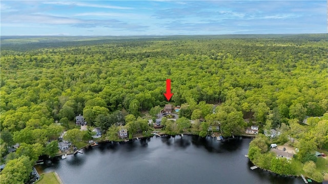 121 W Shore Dr, Exeter, RI 02822 - aerial view of a heavily wooded area and a nearby body of water