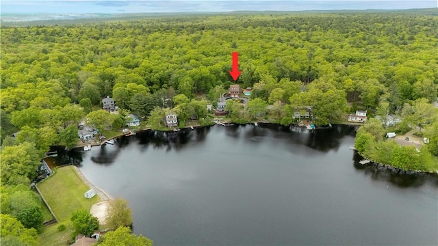 121 W Shore Dr, Exeter, RI 02822 - aerial view of a forest and a nearby body of water