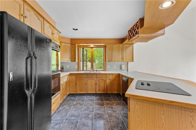 121 W Shore Dr, Exeter, RI 02822 - kitchen featuring black appliances, a sink, a peninsula, recessed lighting, and light countertops