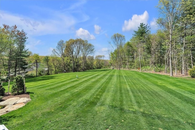 117 Mann School Rd, Smithfield, RI 02917 - view of green lawn